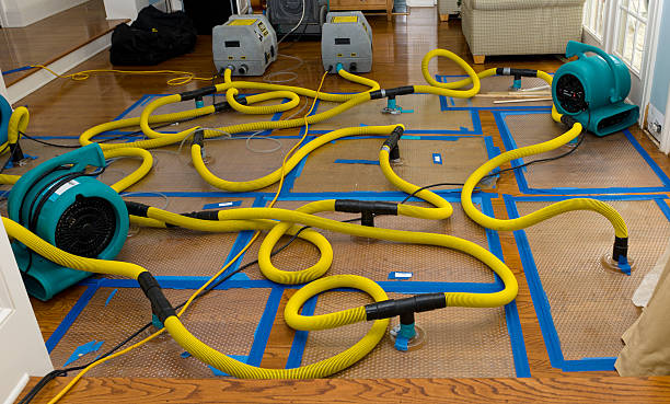 Professional Basement Flood Cleanup technician working in Elizabethtown, PA